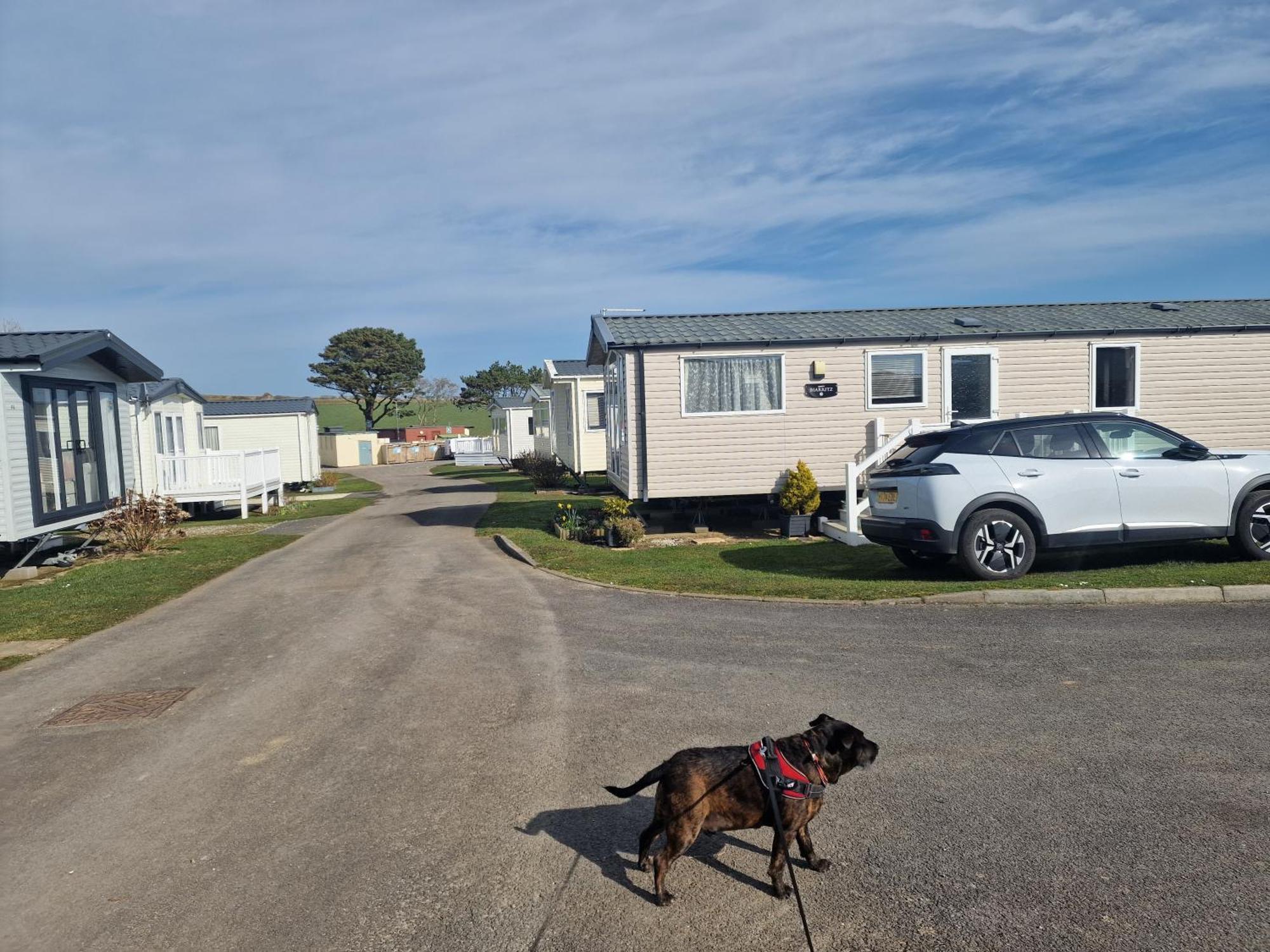 Durdlee Door, D27, Main Rd, West Lulworth, Wareham Bh20 5Pu Hotel Luaran gambar
